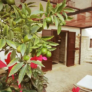 Terrazzani Bed & Breakfast